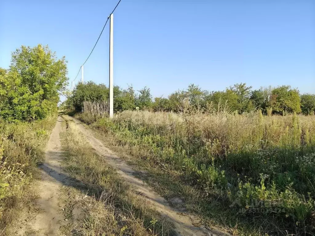 Участок в Белгородская область, Корочанский муниципальный округ, ... - Фото 1