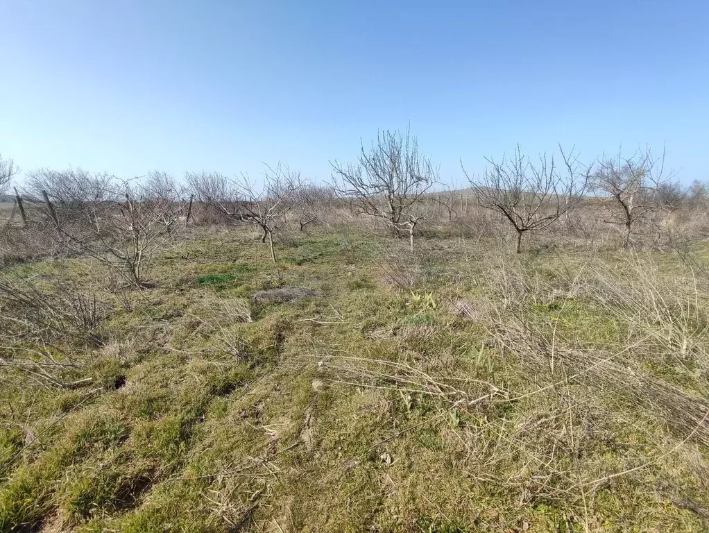 Участок в Крым, Керчь ул. Видная (6.0 сот.) - Фото 2