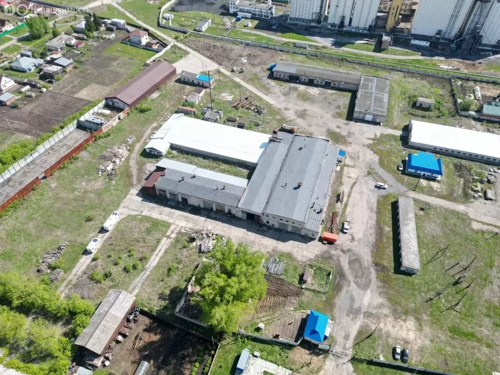 Помещение свободного назначения (3927.07 м) - Фото 1