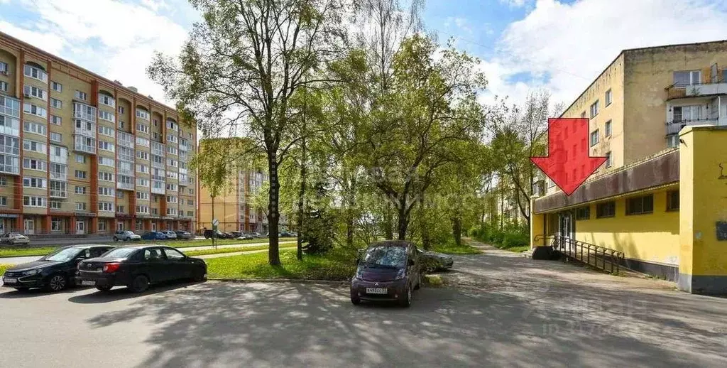 Помещение свободного назначения в Новгородская область, Великий ... - Фото 1