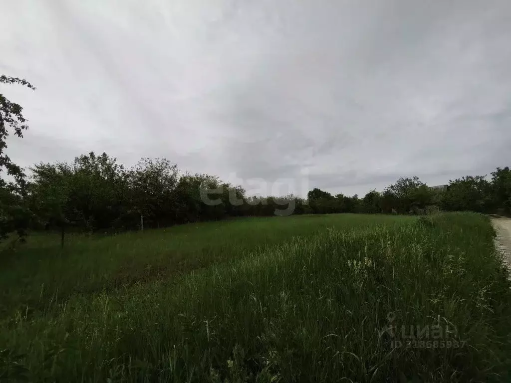 Участок в Белгородская область, Белгородский район, Беломестненское ... - Фото 0