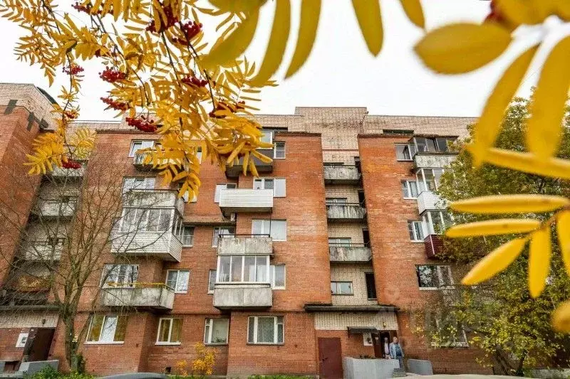 2-к кв. Санкт-Петербург, Санкт-Петербург, Пушкин ул. Генерала Хазова, ... - Фото 0