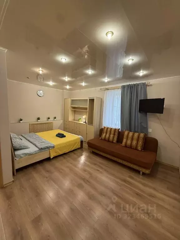 1-к кв. Мурманская область, Мурманск ул. Шмидта, 45 (30.0 м) - Фото 1