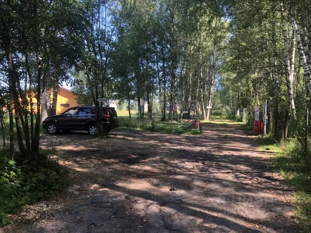 Участок в Костромская область, Красносельский район, Боровиковское ... - Фото 2