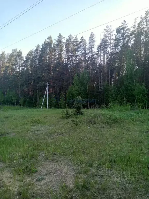 Участок в Нижегородская область, Лысковский район, с. Нижний Красный ... - Фото 2
