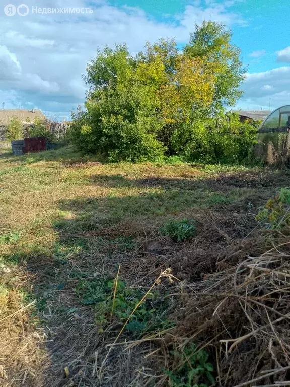 Участок в деревня Камышевка, Радужная улица (15 м) - Фото 2