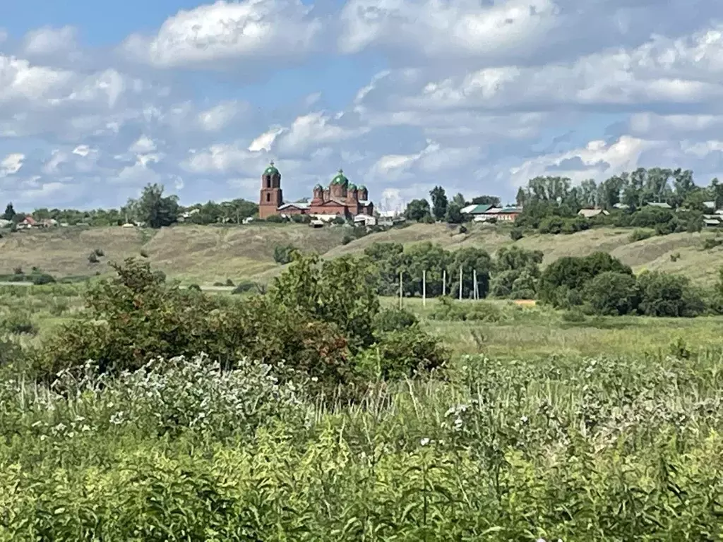 Участок в Пензенская область, Мокшанский район, с. Михайловка  (15.0 ... - Фото 0