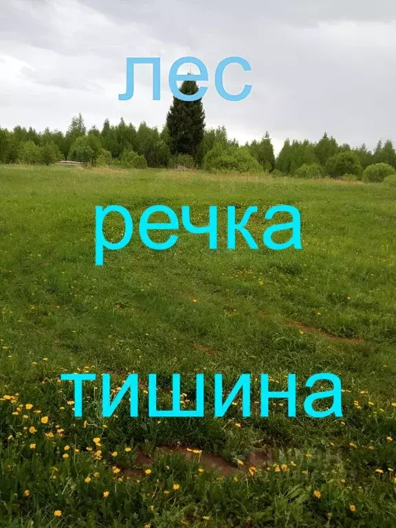 Участок в Удмуртия, Воткинский район, д. Ледухи ул. Логовая, 7 (31.0 ... - Фото 0