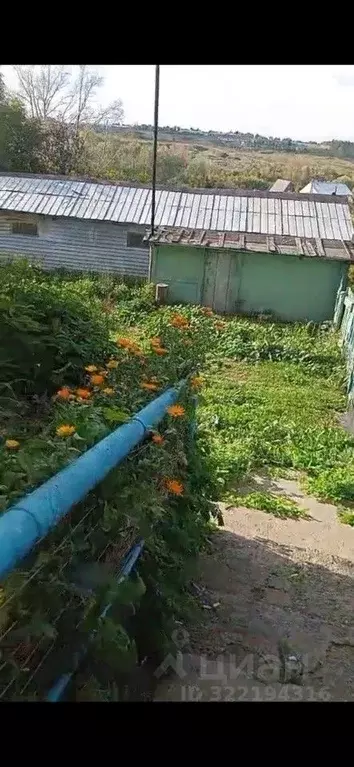 Дом в Оренбургская область, Кувандыкский муниципальный округ, с. ... - Фото 0