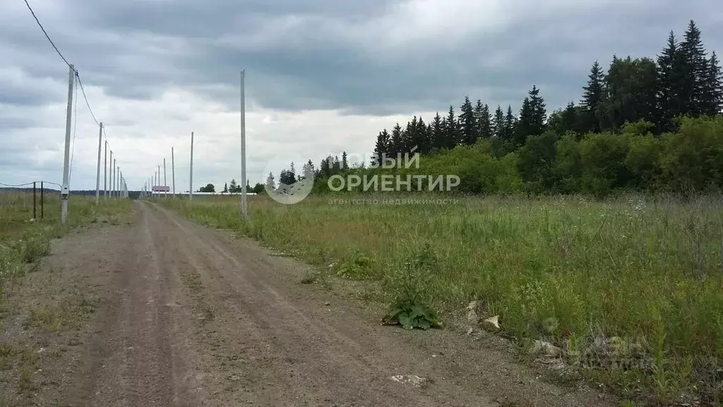 Участок в Свердловская область, Белоярский городской округ, с. ... - Фото 1