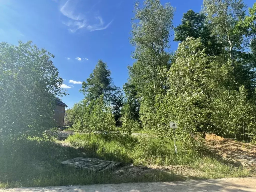 Участок в Московская область, Серпухов городской округ, пос. Дома ... - Фото 2