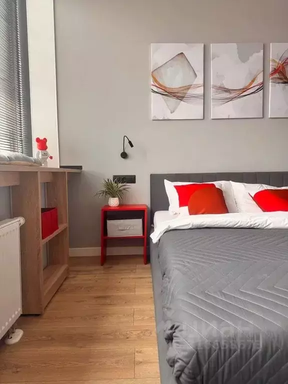 Студия Санкт-Петербург просп. Энергетиков, 2к2 (30.0 м) - Фото 1