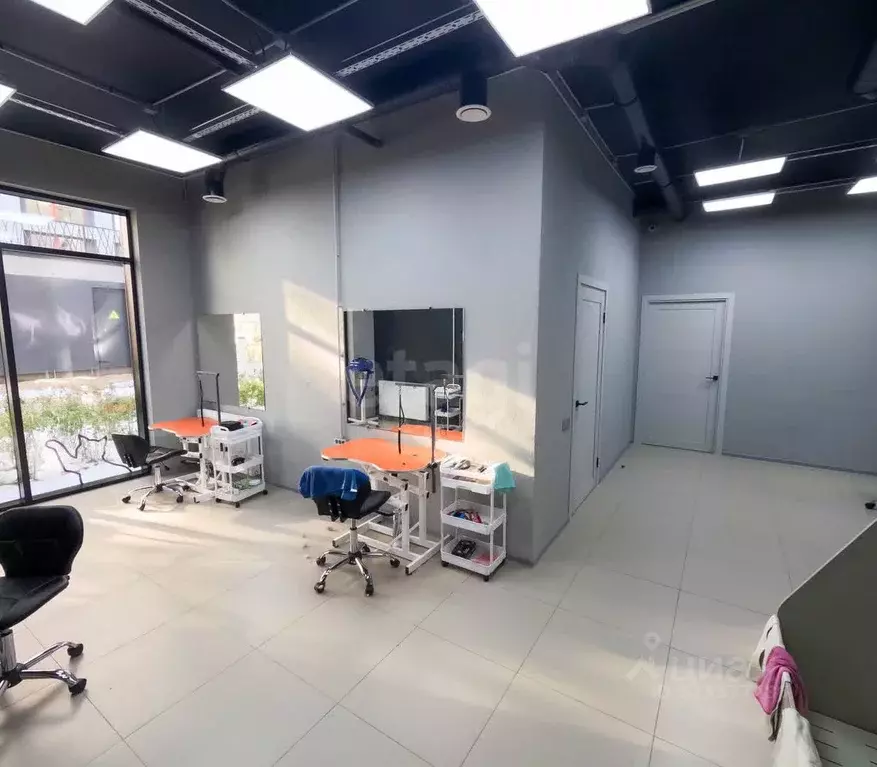 Торговая площадь в Новосибирская область, Новосибирск ул. Никитина, 10 ... - Фото 1