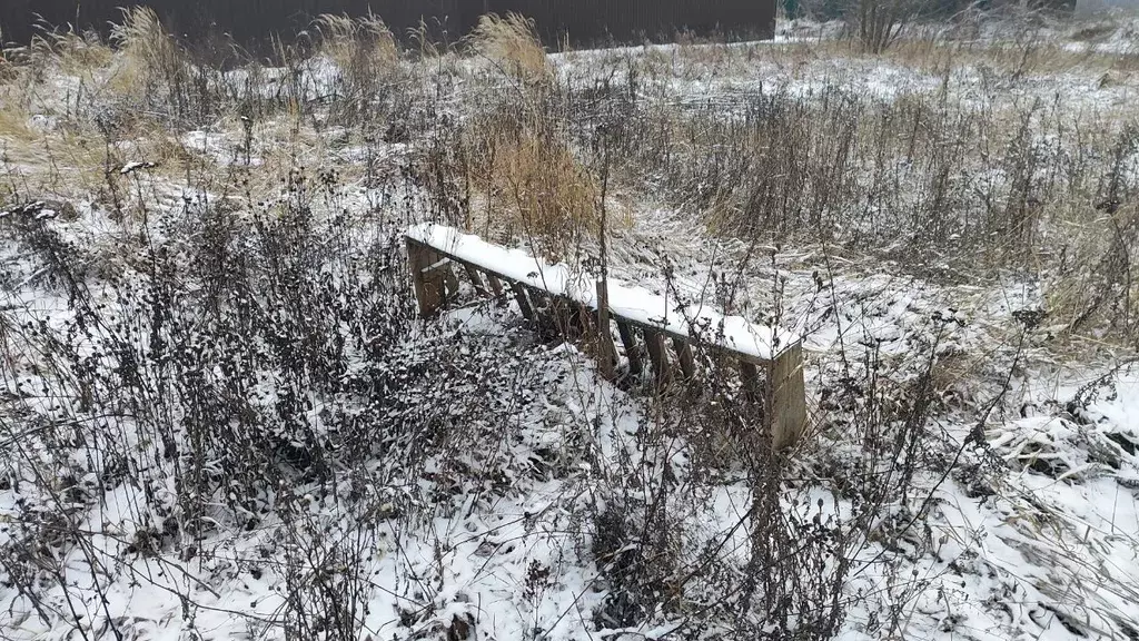 Участок в Московская область, Раменский муниципальный округ, д. Минино ... - Фото 1