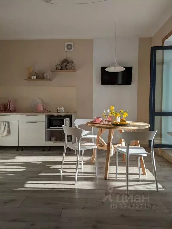 1-к кв. Псковская область, Псков Ольгинская наб., 5А (33.0 м) - Фото 1