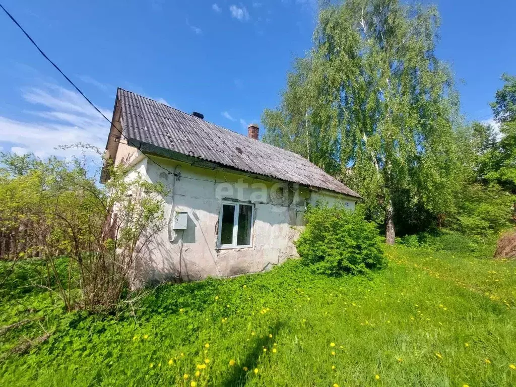 2-к кв. Псковская область, Печорский муниципальный округ, д. Новый ... - Фото 2