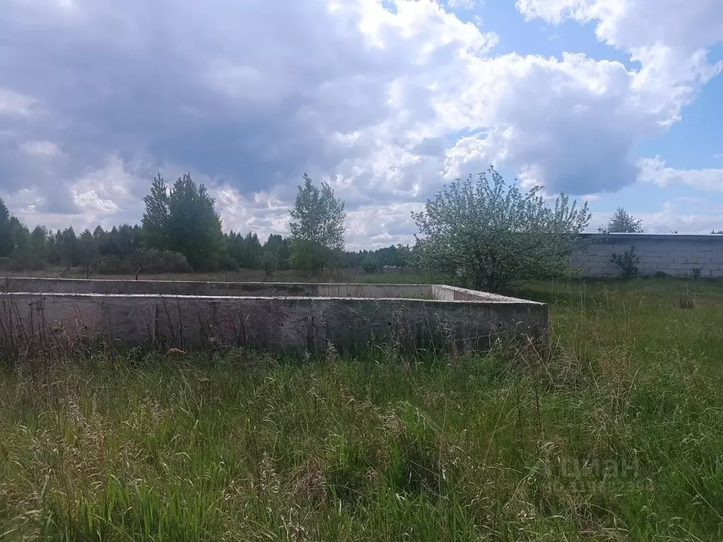 Участок в Липецкая область, Добровский муниципальный округ, с. Большой ... - Фото 1