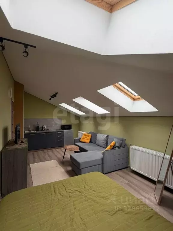 1-к кв. Санкт-Петербург остров Канонерский, 17 (30.5 м) - Фото 0