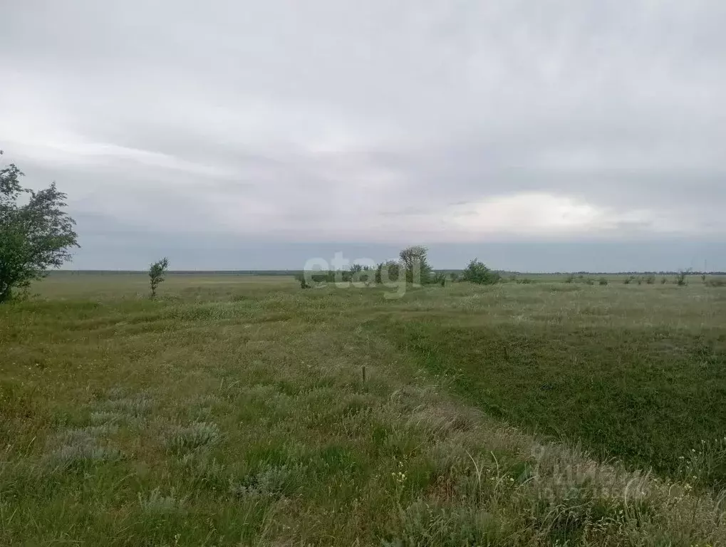 Участок в Крым, Ленинский район, Белинское с/пос, с. Новоотрадное ул. ... - Фото 1