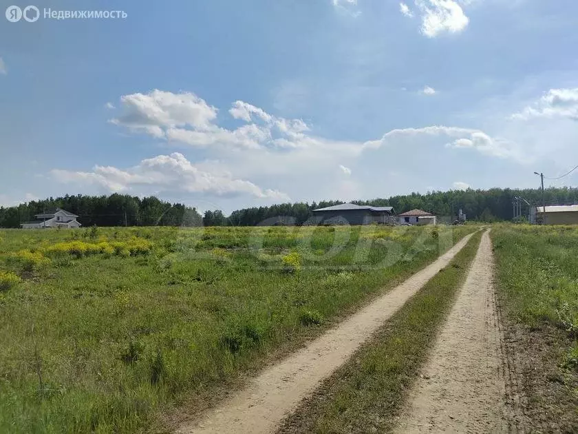 Участок в Усть-Ницинское сельское поселение, деревня Ёлкина (23 м) - Фото 2