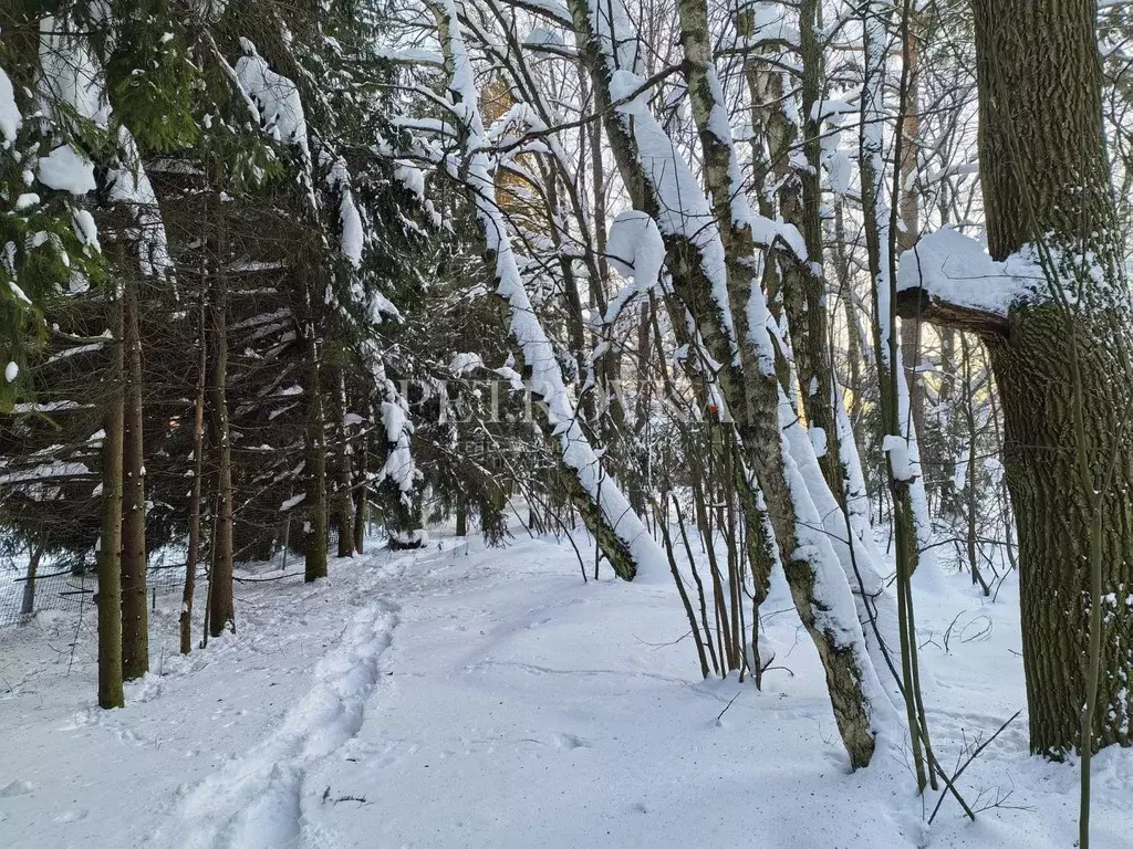Участок в Москва д. Мешково, ул. Верхняя (9.88 сот.) - Фото 1