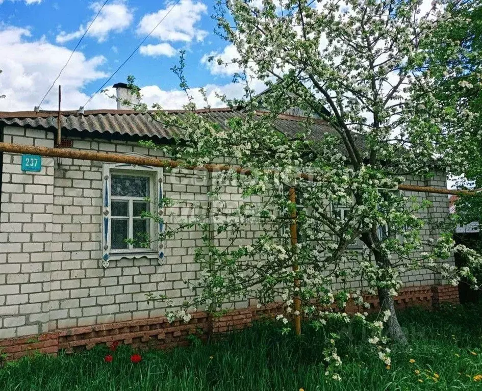 Дом в Курская область, Курск ул. Нижняя Казацкая, 237 (97 м) - Фото 2