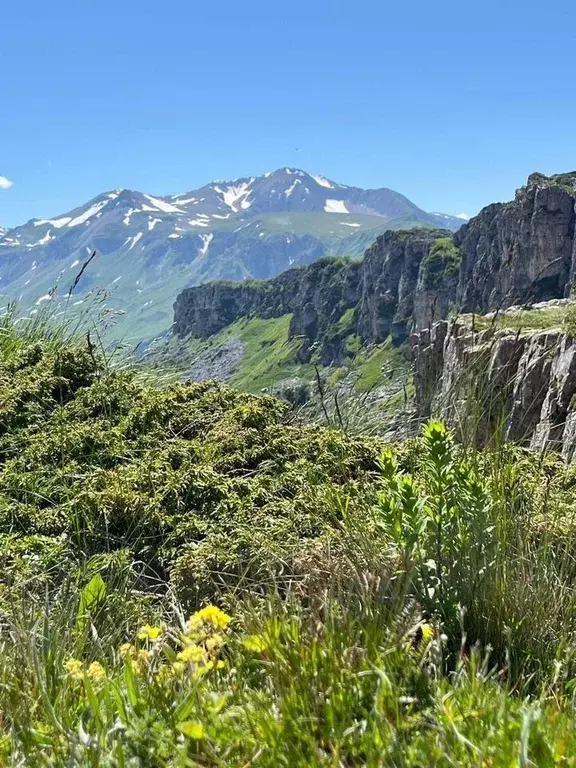Участок в Адыгея, Майкопский район, Тимирязевское с/пос  (32.0 сот.) - Фото 1