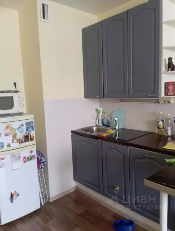 Студия Ленинградская область, Мурино Всеволожский район, бул. ... - Фото 1