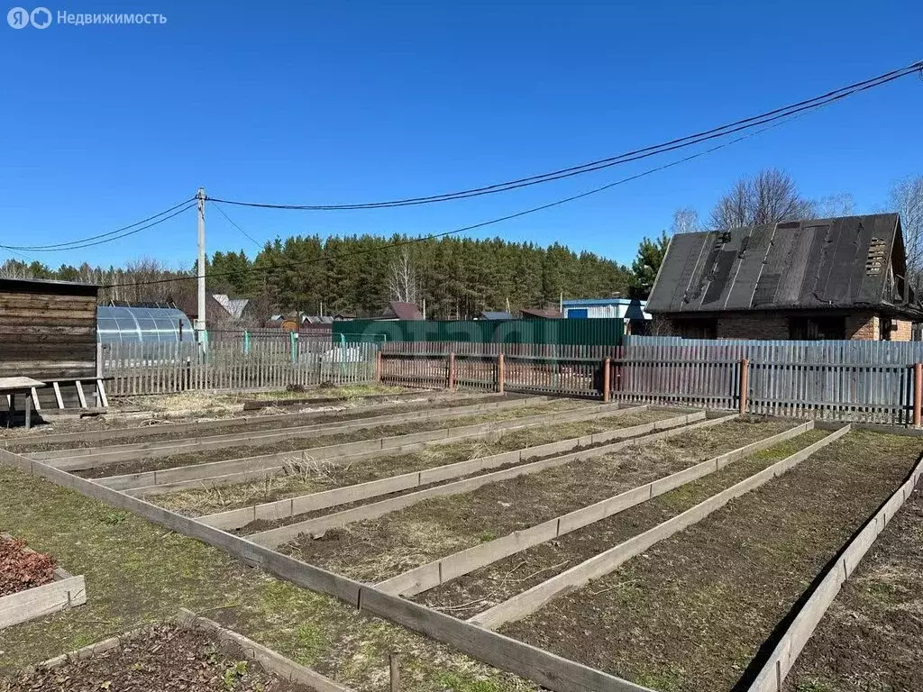 Участок в Новосибирск, садовое товарищество Олимпийское (5.7 м) - Фото 0