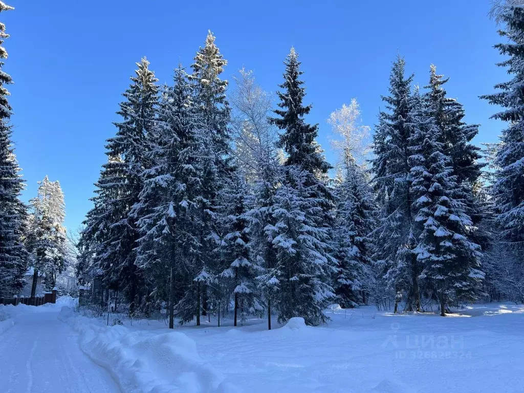 Участок в Московская область, Истра муниципальный округ, пос. Северный ... - Фото 2