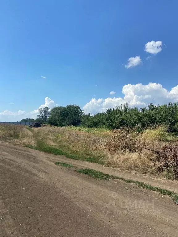 Участок в Краснодарский край, Динской район, Мичуринское с/пос, пос. ... - Фото 2