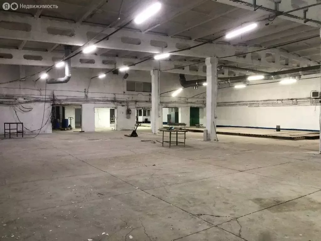 Склад (1250 м) - Фото 2