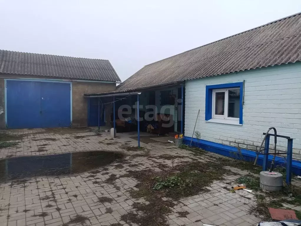 Дом в Белгородская область, Вейделевский район, с. Клименки ул. ... - Фото 1