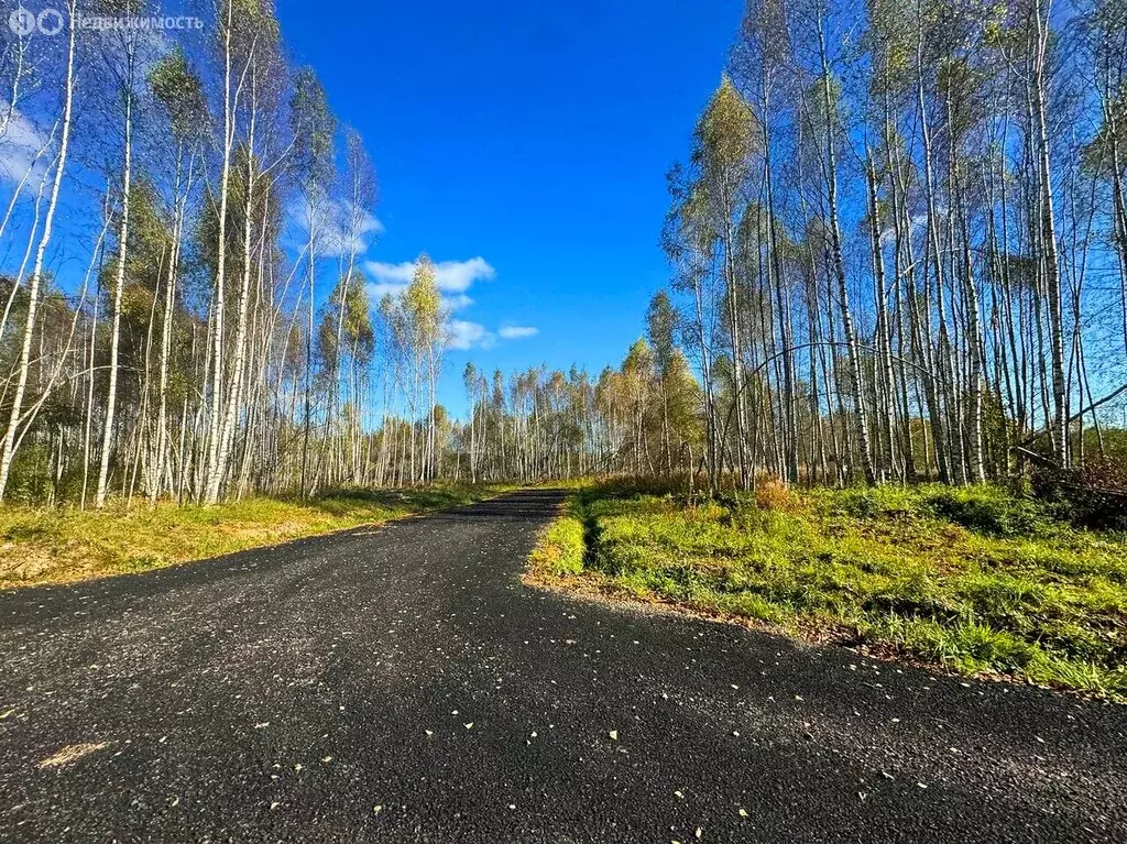 Участок в Московская область, Дмитровский муниципальный округ, КП ... - Фото 1