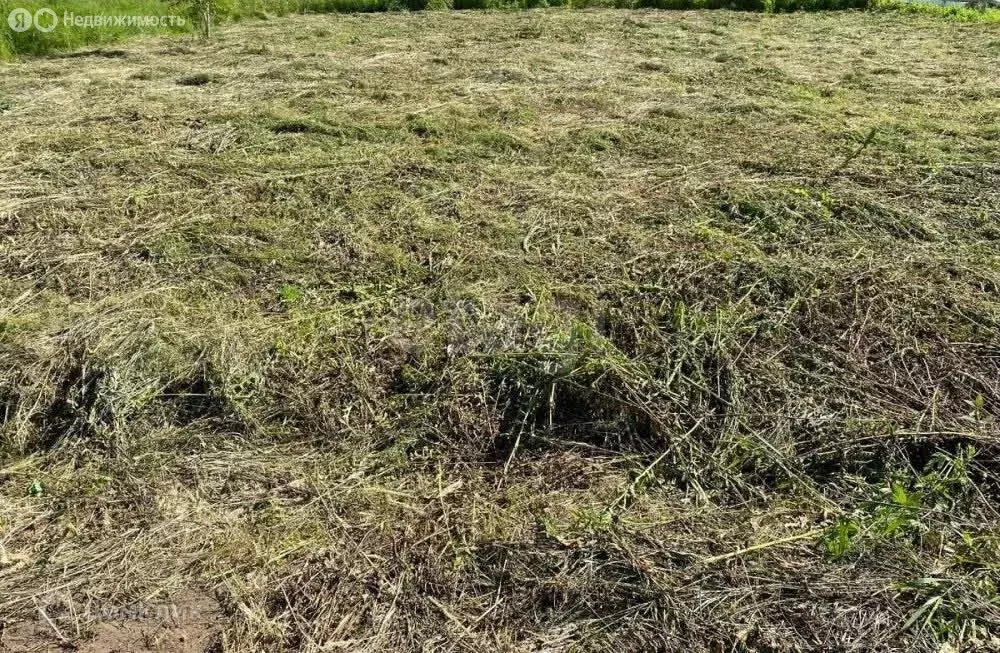 Участок в Кисельнинское сельское поселение, деревня Лавния (15.1 м) - Фото 2