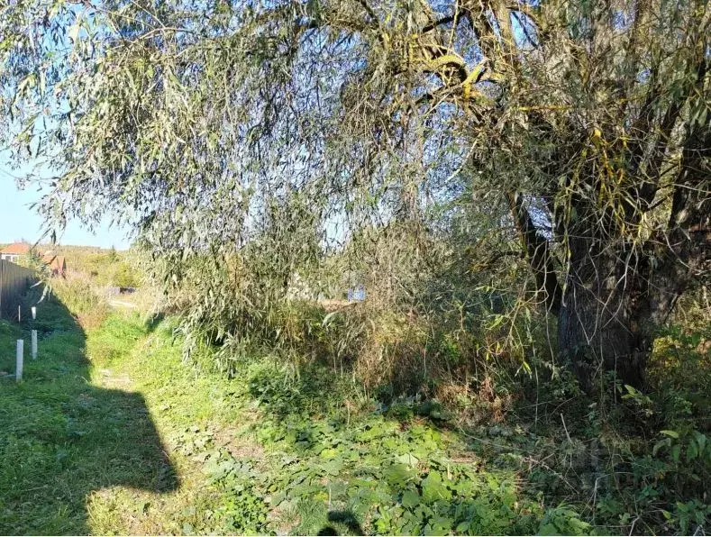 Участок в Московская область, Чехов муниципальный округ, д. ... - Фото 1