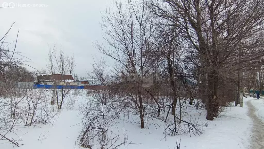 Участок в Семилуки, Линейный переулок (10.5 м) - Фото 2