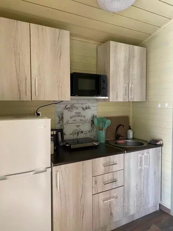 Дом в Алтай, Чемальский район, пос. Усть-Сема ул. Луговая, 6 (28 м) - Фото 1