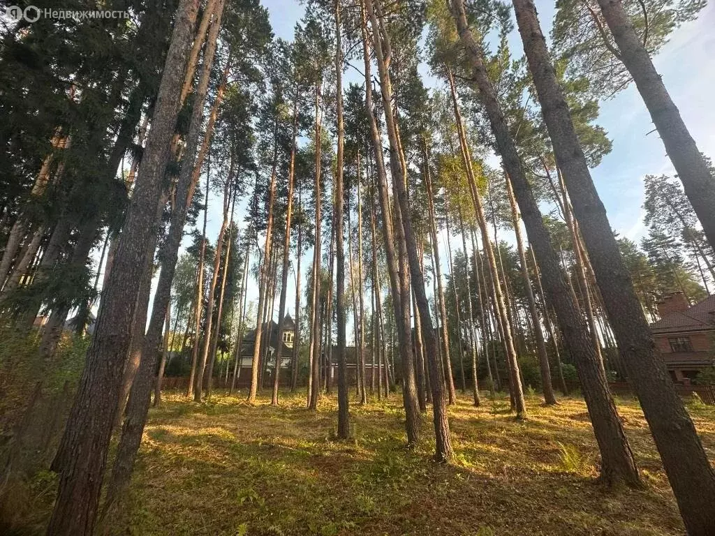 Участок в Химки, микрорайон Новогорск, Сосновая улица, 50 (8 м) - Фото 2