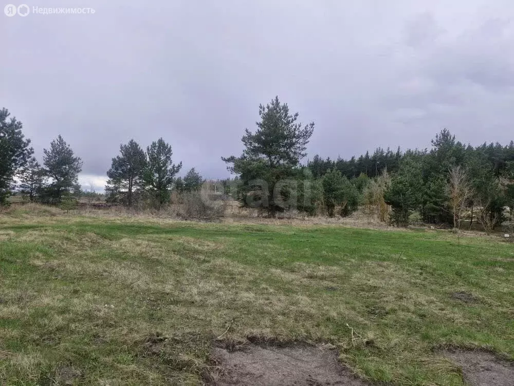 Участок в Белгородская область, рабочий посёлок Волоконовка, улица ... - Фото 2