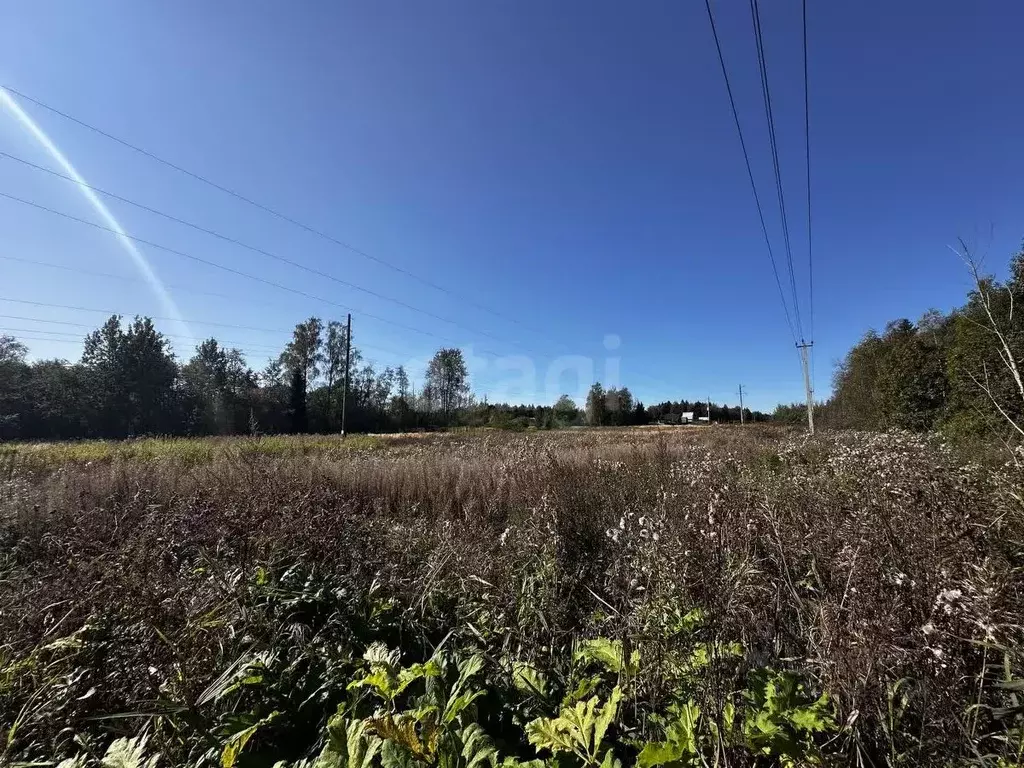 Участок в Московская область, Истра муниципальный округ, д. Деньково ... - Фото 1