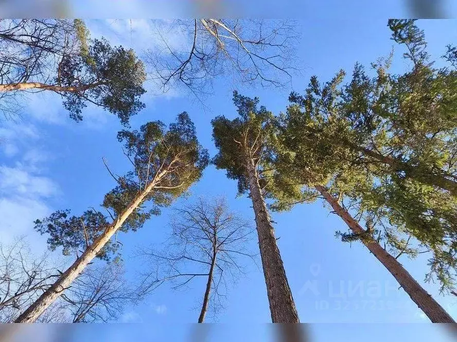 Участок в Московская область, Подольск городской округ, д. Бородино ... - Фото 1