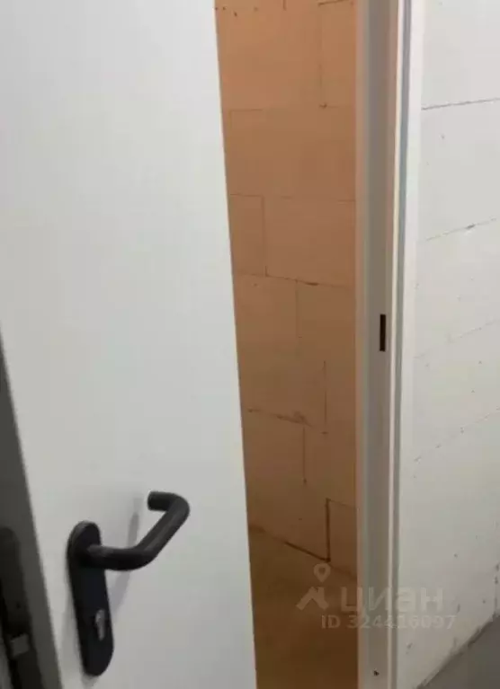 Склад в Краснодарский край, Сочи городской округ, Дагомыс пгт ш. ... - Фото 2