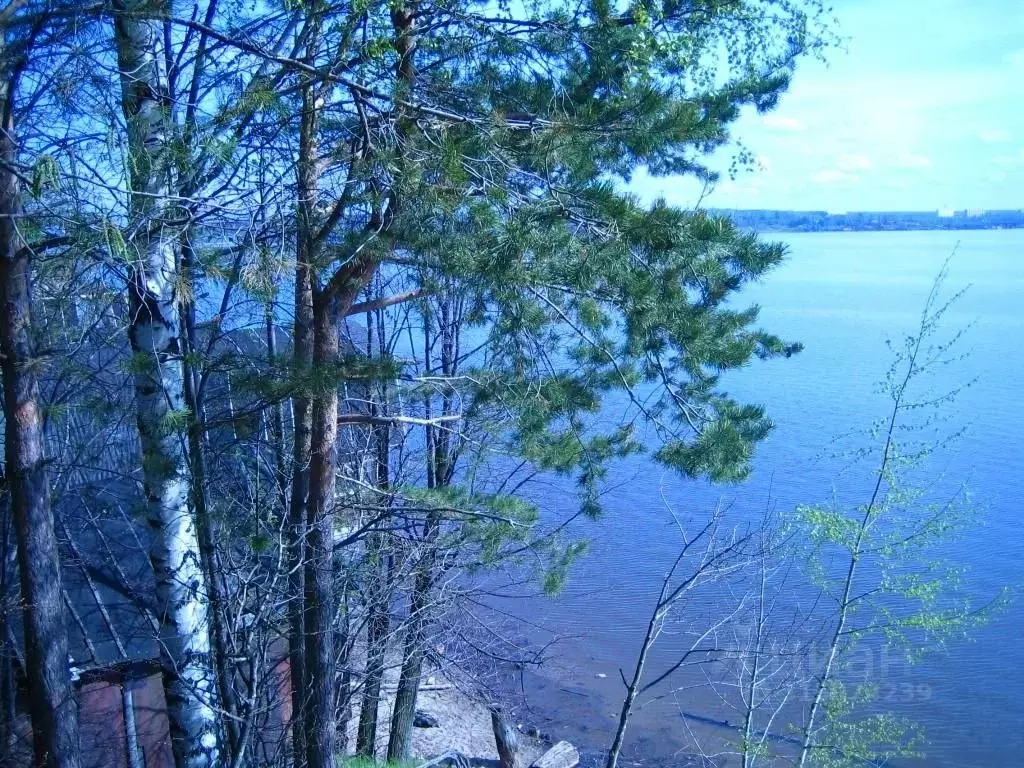 Участок в Пермский край, Краснокамский городской округ, д. Конец-Бор  ... - Фото 0