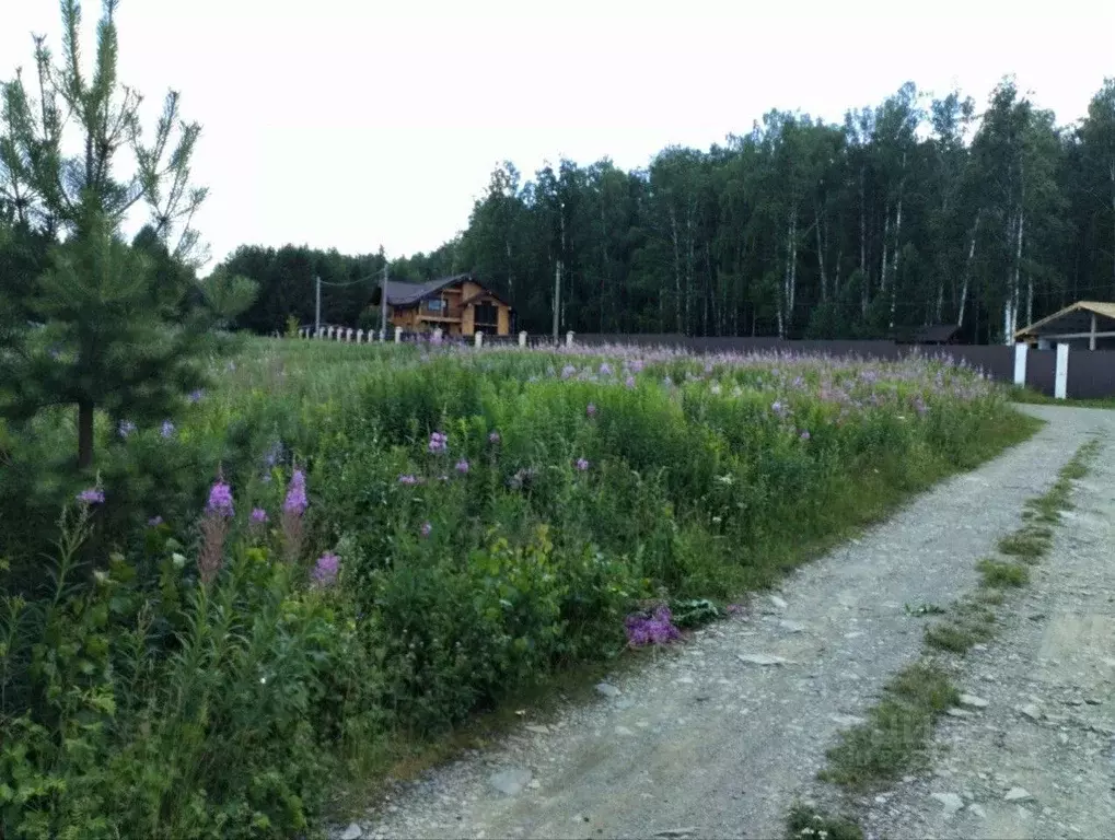 Участок в Свердловская область, Белоярский муниципальный округ, д. ... - Фото 2