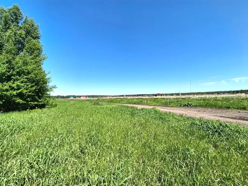 Участок в Омская область, Омский район, Пушкинское с/пос  (10.0 сот.) - Фото 1