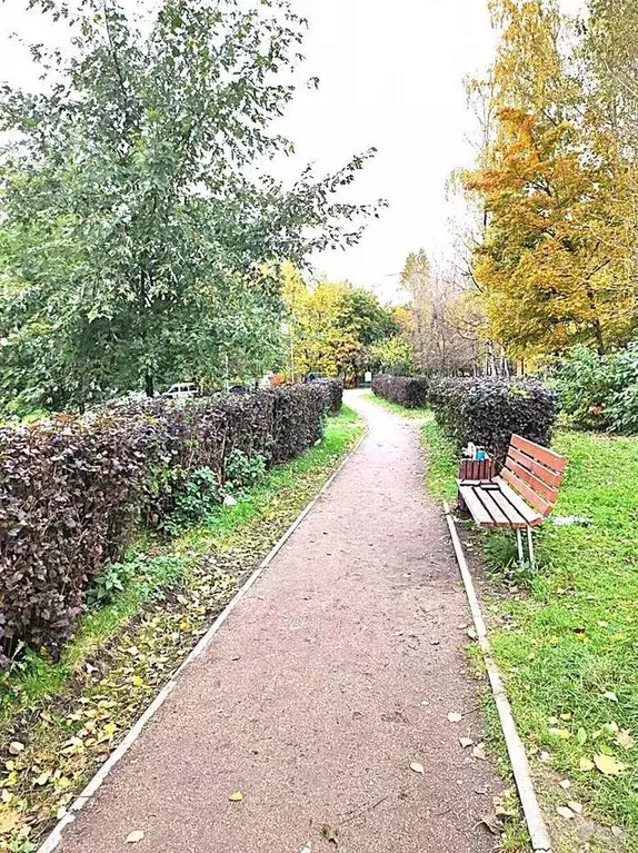 2-к кв. Санкт-Петербург Пискаревский просп., 20 (44.0 м) - Фото 2