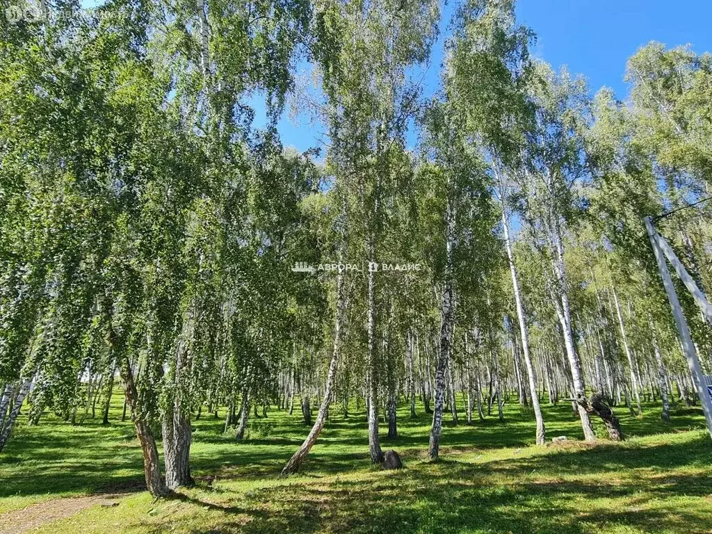 Участок в село Абзаково, Солнечная улица, 18 (30000 м) - Фото 1