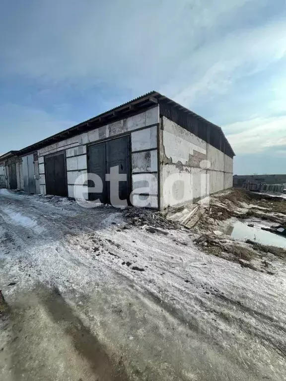Гараж в Красноярский край, Сосновоборск просп. Мира, 1 (49 м) - Фото 1
