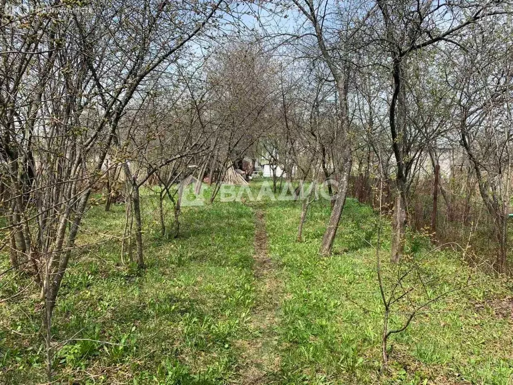 Участок в Нижегородская область, Кстовский муниципальный округ, село ... - Фото 1